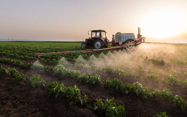 Best Pest Inspection Near Me  in Lake Andes, SD