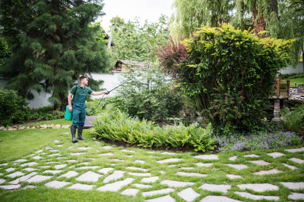 Pest Prevention Services in Lake Andes, SD