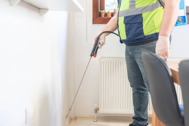 Best Termite Control Services  in Lake Andes, SD