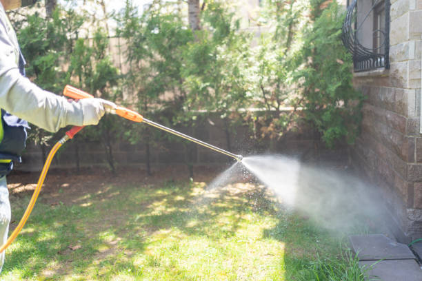 Best Mosquito Control Services  in Lake Andes, SD
