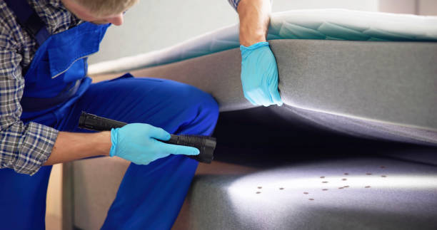 Best Emergency Pest Control  in Lake Andes, SD