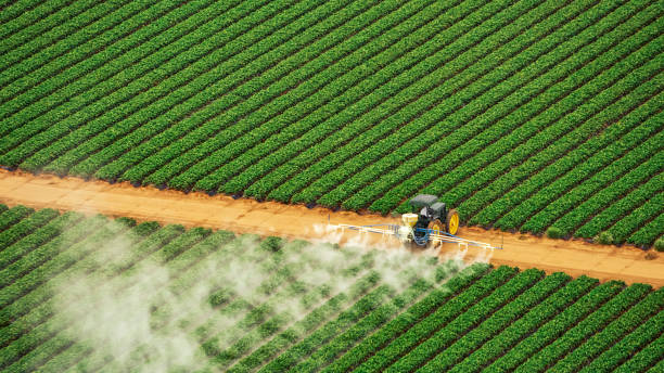 Professional Pest Control in Lake Andes, SD