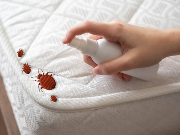 Best Pest Removal Services  in Lake Andes, SD