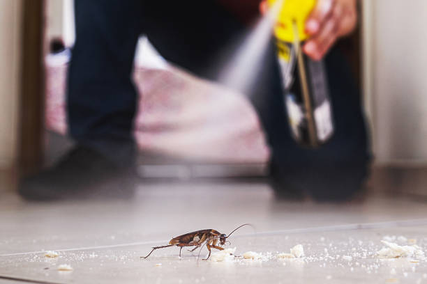 Best Local Pest Control Services  in Lake Andes, SD