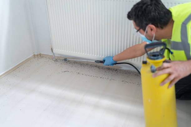 Best Pest Prevention Services  in Lake Andes, SD